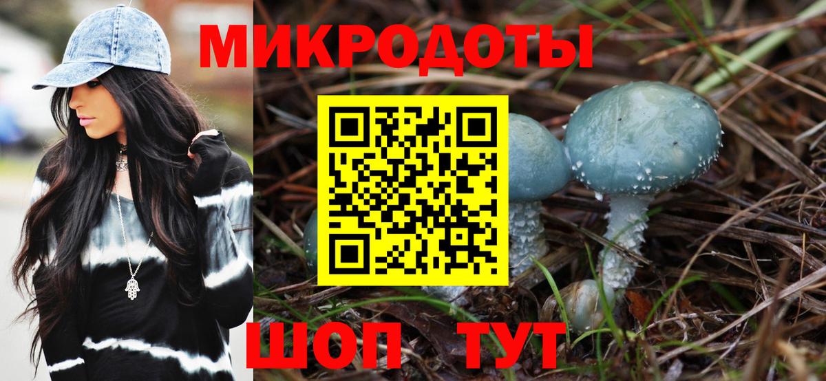 Новокубанск  Псилоцибиновые грибы Psilocybe  где продают наркотики  Вход с VPN 
